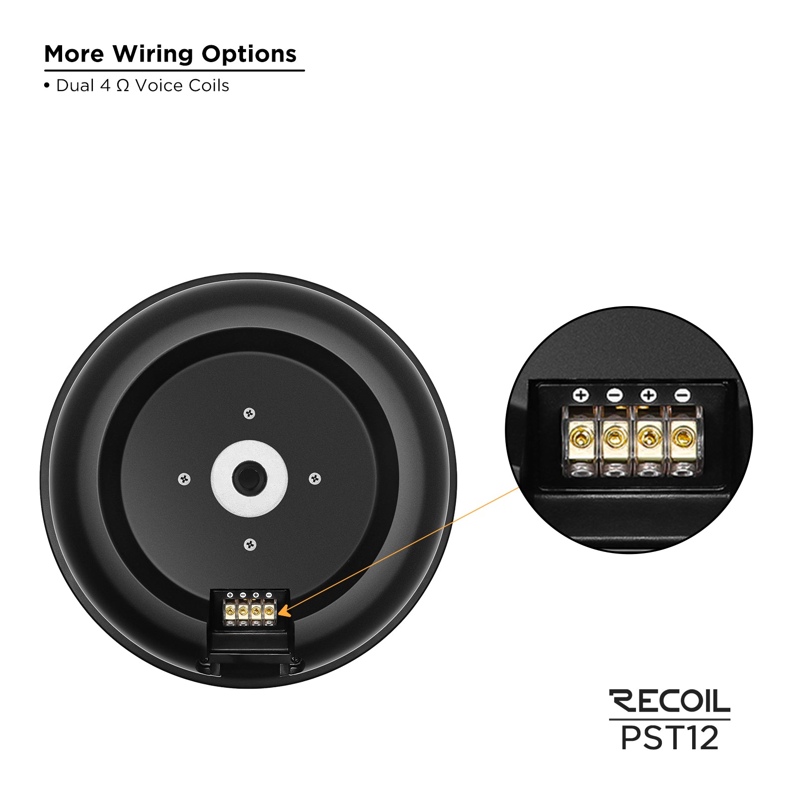 PST12 - Hidden 12” Passive Car Audio Spare Tire Subwoofer System