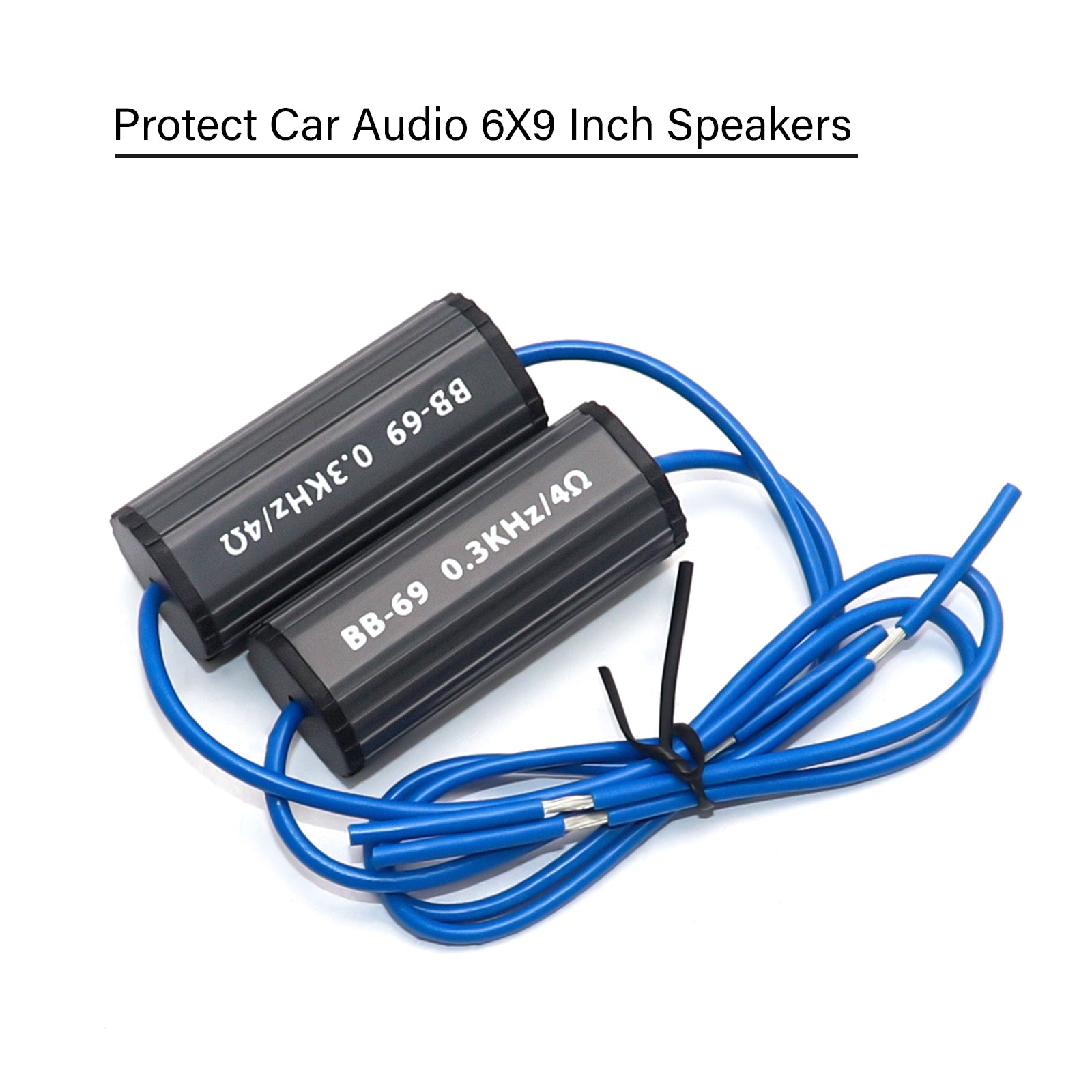 BB-69 - Bass Blocks Designed to Protect Car Audio 6x9 Inch Speakers, Eliminate Frequencies 0-300hz at 4ohms, Pair