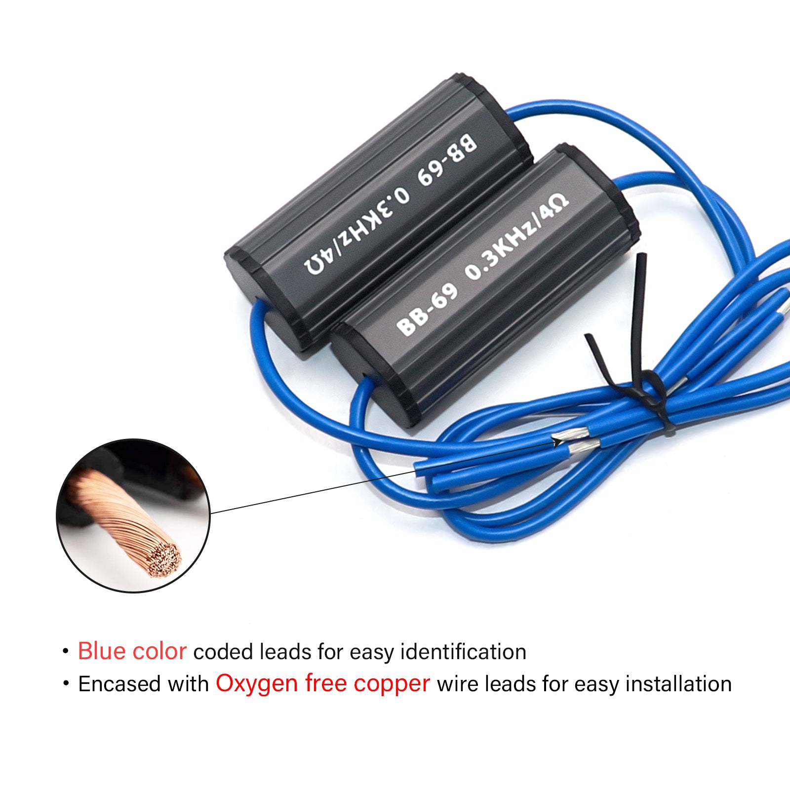 BB-69 - Bass Blocks Designed to Protect Car Audio 6x9 Inch Speakers, Eliminate Frequencies 0-300hz at 4ohms, Pair